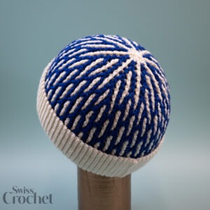Street Beanie - Yarn Kit